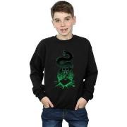 Sweat-shirt enfant Harry Potter Nagini Silhouette