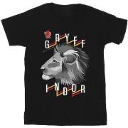 T-shirt enfant Harry Potter Gryffindor Lion Icon