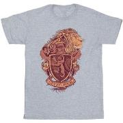 T-shirt enfant Harry Potter BI21244