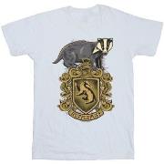 T-shirt enfant Harry Potter BI21271