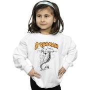 Sweat-shirt enfant Dc Comics BI15322