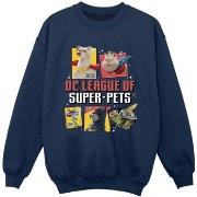 Sweat-shirt enfant Dc Comics DC League Of Super-Pets