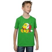 T-shirt enfant Dessins Animés BI23803