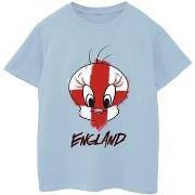 T-shirt enfant Dessins Animés BI24589