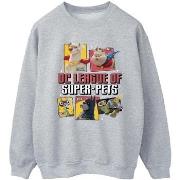 Sweat-shirt Dc Comics DC League Of Super-Pets