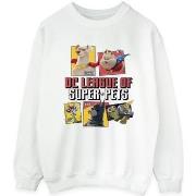 Sweat-shirt Dc Comics DC League Of Super-Pets