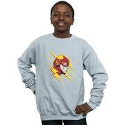 Sweat-shirt enfant Dc Comics BI16874