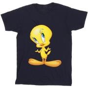 T-shirt enfant Dessins Animés Tweety Standing