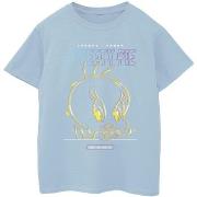 T-shirt enfant Dessins Animés BI24367