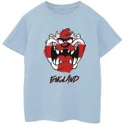 T-shirt enfant Dessins Animés BI24569