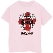 T-shirt enfant Dessins Animés Taz England Face