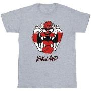 T-shirt enfant Dessins Animés Taz England Face