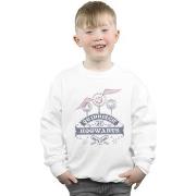 Sweat-shirt enfant Harry Potter Quidditch At Hogwarts