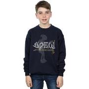 Sweat-shirt enfant Harry Potter BI19267