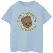 T-shirt enfant Marvel I Am Groot Cutest Guardian