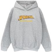 Sweat-shirt enfant Marvel AKA Peter Parker