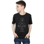 T-shirt enfant Dessins Animés Bugs Bunny A Wild Hare