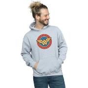 Sweat-shirt Dc Comics BI20278