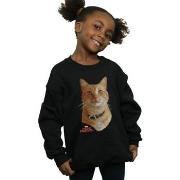 Sweat-shirt enfant Marvel BI14374