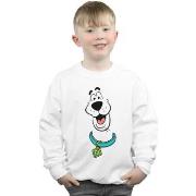 Sweat-shirt enfant Scooby Doo Big Face