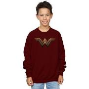 Sweat-shirt enfant Dc Comics Justice League