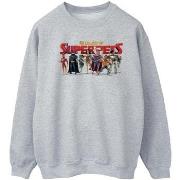 Sweat-shirt Dc Comics DCs DC League Of Super-Pets