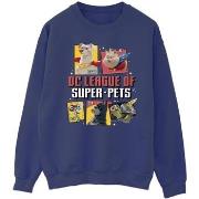 Sweat-shirt Dc Comics DC League Of Super-Pets Profile