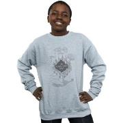 Sweat-shirt enfant Harry Potter BI19357