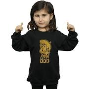 Sweat-shirt enfant Scooby Doo BI33568