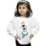 Sweat-shirt enfant Scooby Doo Big Face