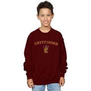 Sweat-shirt enfant Harry Potter Gryffindor