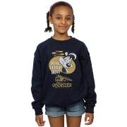 Sweat-shirt enfant Dessins Animés BI23310