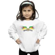 Sweat-shirt enfant Harry Potter Snitch Wings Pastels