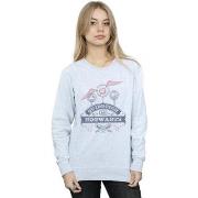 Sweat-shirt Harry Potter Quidditch At Hogwarts