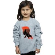 Sweat-shirt enfant Harry Potter BI20221