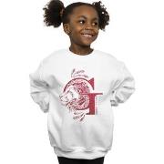 Sweat-shirt enfant Harry Potter Gryffindor