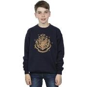 Sweat-shirt enfant Harry Potter BI20418