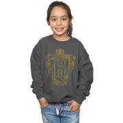 Sweat-shirt enfant Harry Potter BI20538