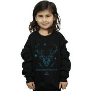 Sweat-shirt enfant Harry Potter BI20583