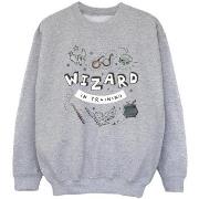 Sweat-shirt enfant Harry Potter Wizard In Training