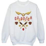 Sweat-shirt enfant Harry Potter BI21129