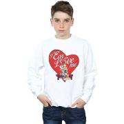 Sweat-shirt enfant Dessins Animés BI23200