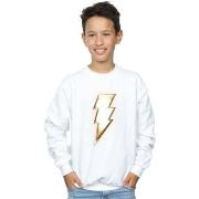 Sweat-shirt enfant Dc Comics BI32785