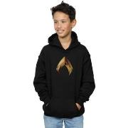 Sweat-shirt enfant Dc Comics BI3011