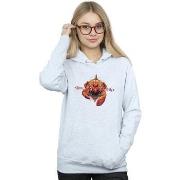 Sweat-shirt Dc Comics BI3124