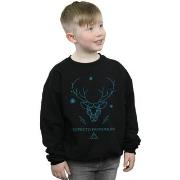 Sweat-shirt enfant Harry Potter Expecto Patronum