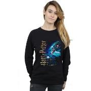 Sweat-shirt Harry Potter BI20914