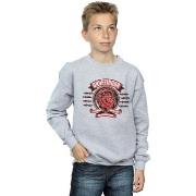 Sweat-shirt enfant Harry Potter Gryffindor Toon Crest