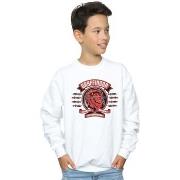 Sweat-shirt enfant Harry Potter BI20135