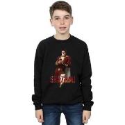 Sweat-shirt enfant Dc Comics BI32803